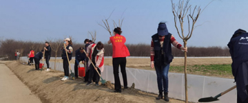 公司参与黄桥总公会“植树节”主题活动